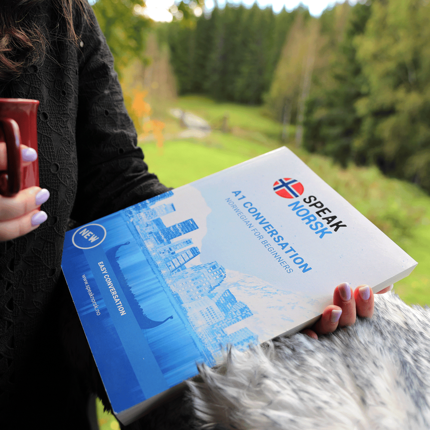 A1 Conversation book - Norwegian for Beginners: Easy Conversation