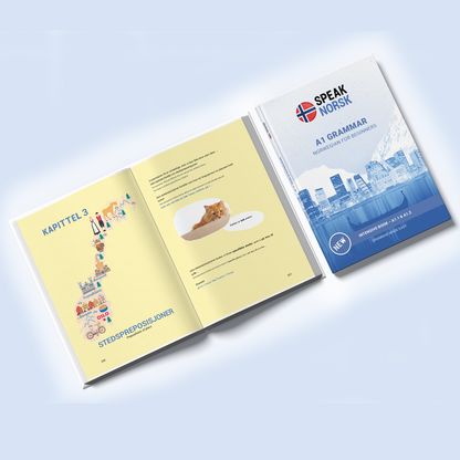 A1 Grammar book - Norwegian for Beginners: Grammar Made Easy