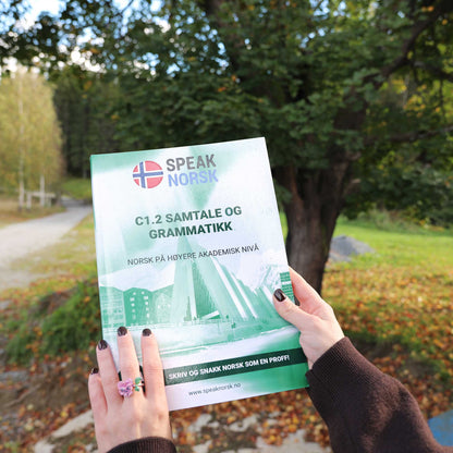 C1.2 Grammar and Conversation: Unlock Your Norwegian Mastery!