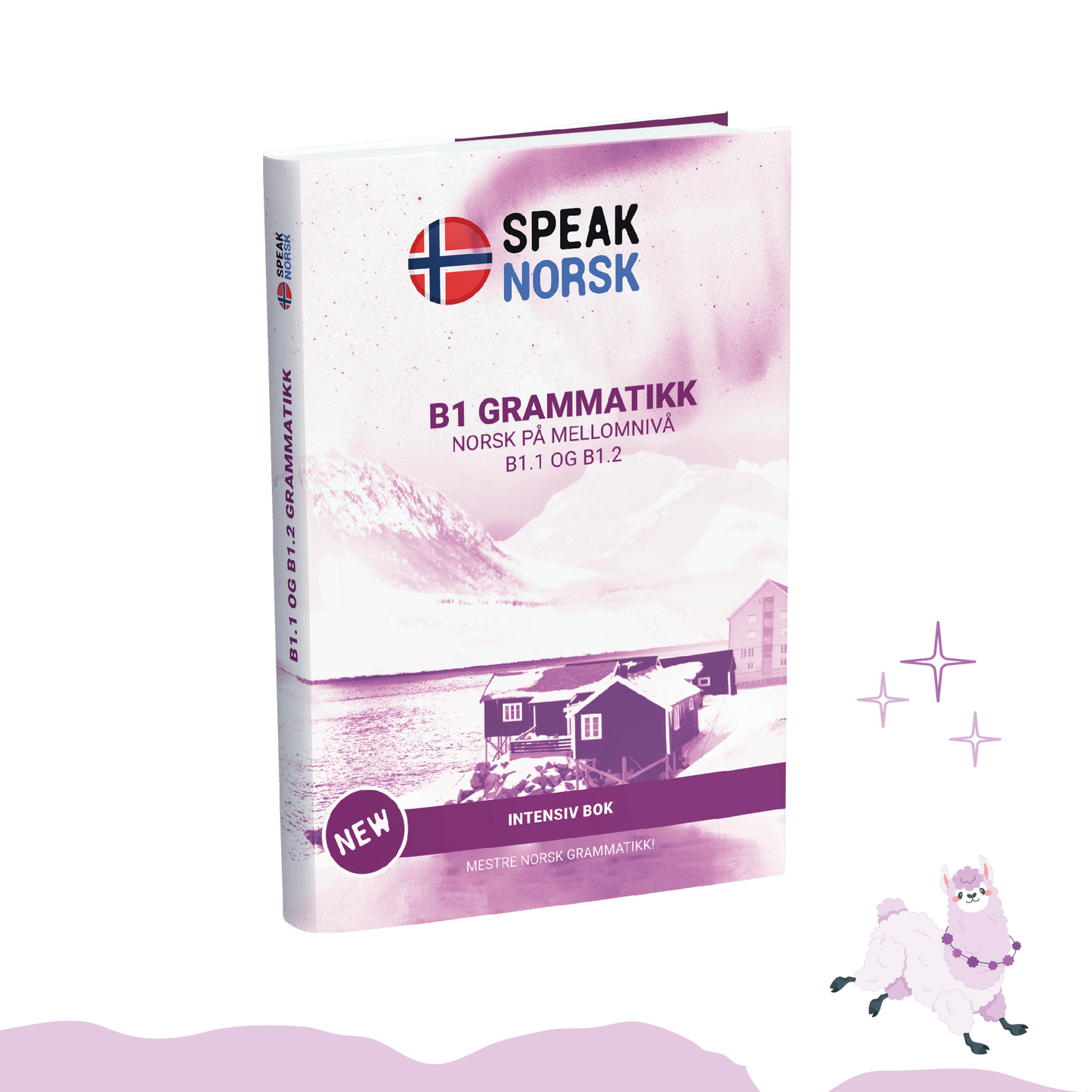 B1 Grammar book - Master Intermediate Grammar
